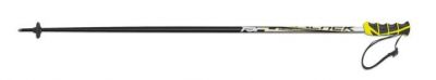 Fischer Superrace Pro